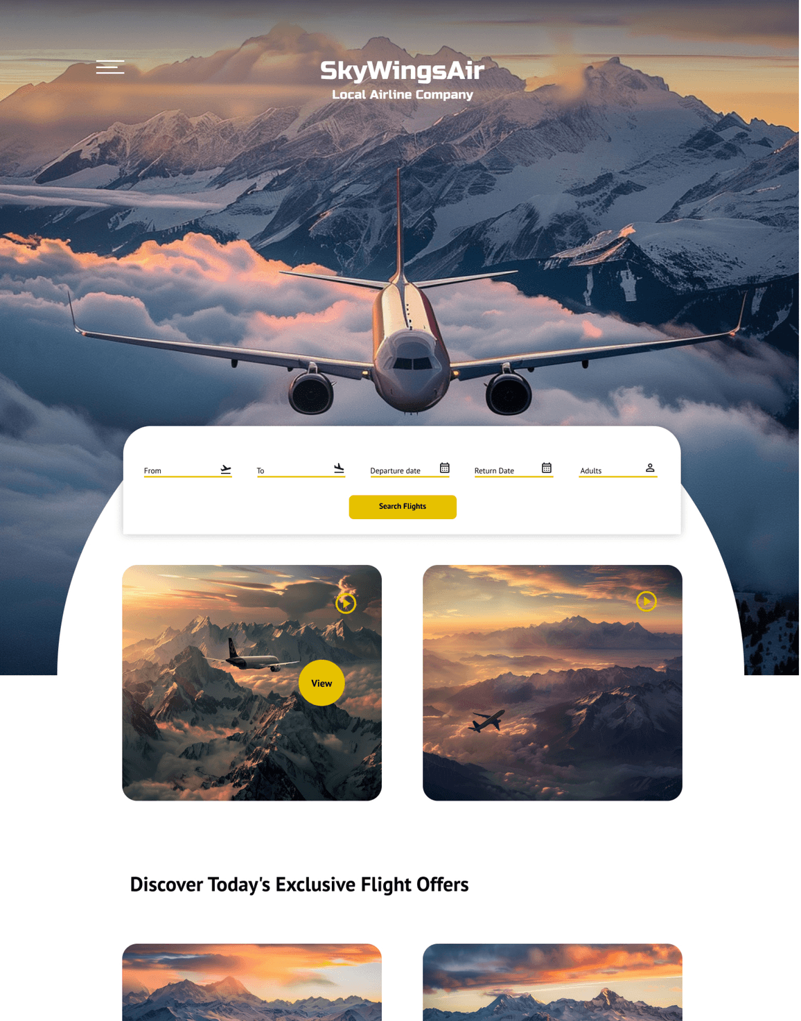 Aviation Company Website Design after