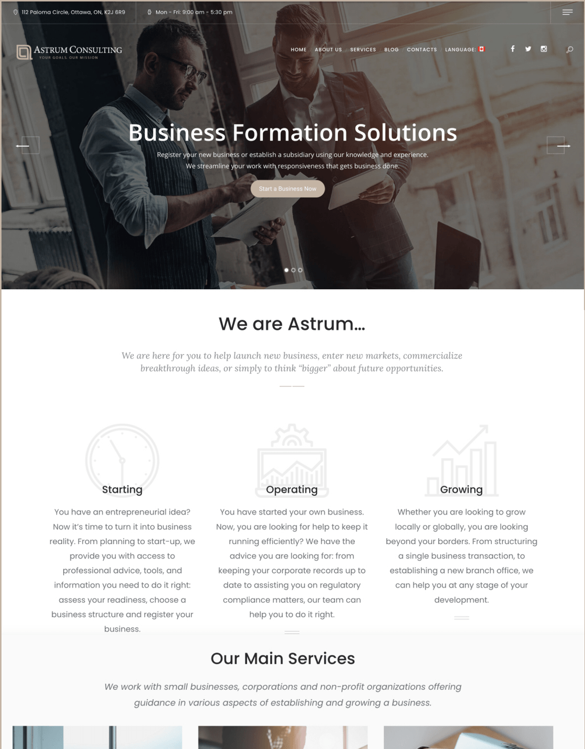 Consulting Services Website Design after