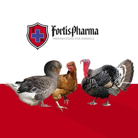 Fortis-Pharma